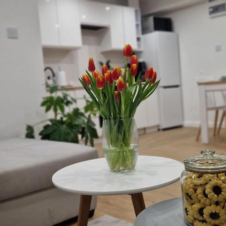 Apartament Na Skalkach 옐레니아구라 외부 사진
