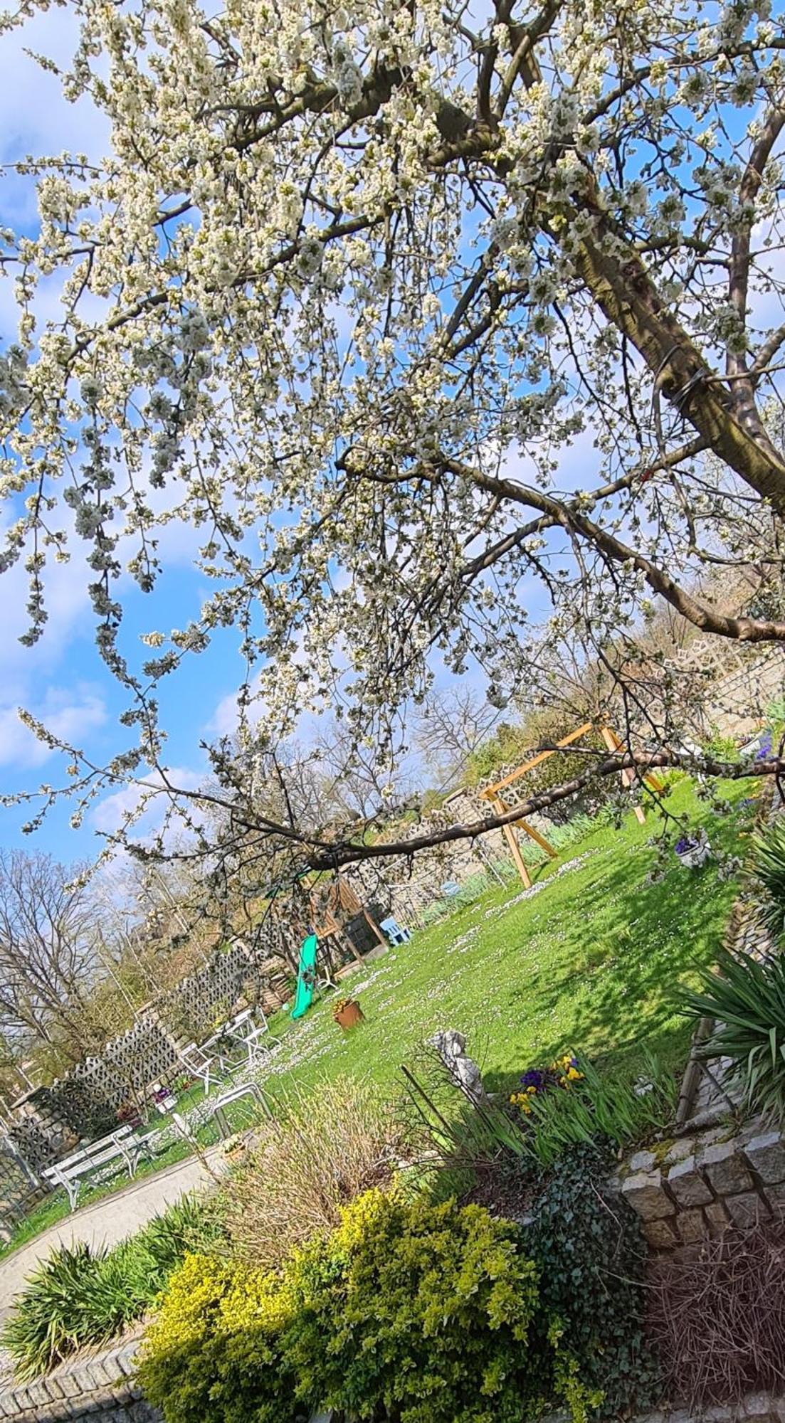 Apartament Na Skalkach 옐레니아구라 외부 사진